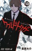 Vol. 13