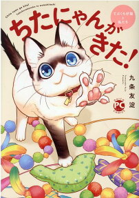 ちたにゃんがきた! : てぶくろ仔猫と私たち