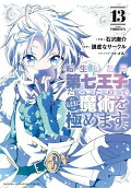 Vol. 13
