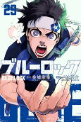 第29卷