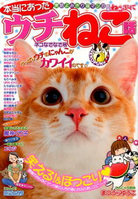 本当にあったウチねこ話