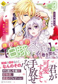 Vol. 3