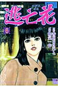 6권