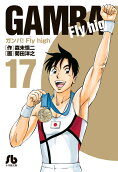 17권
