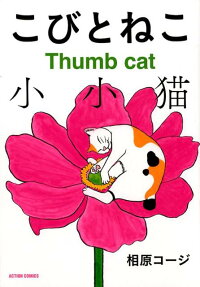 こびとねこ = Thumb cat