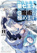 Vol. 11