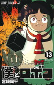 Vol. 13