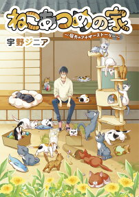 ねこあつめの家