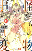 Vol. 13