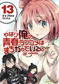 Vol. 13