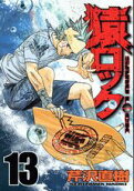 Vol. 13