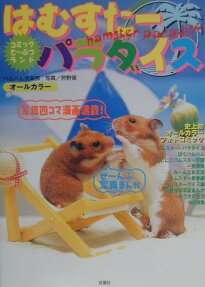 はむすたーパラダイス