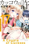 17권