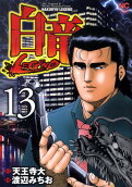 Vol. 13