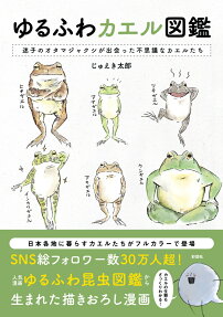 ゆるふわカエル図鑑 = YURUFUWA FROGS VISUAL DICTIONARY : 迷子のオタマジャクシが出会った不思議なカエルたち