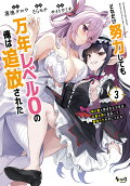 Vol. 3