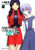 Vol. 11