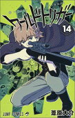 Vol. 14