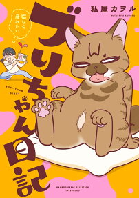 ブリちゃん日記