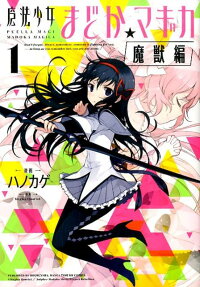 Puella Magi Madoka Magica: Wraith Arc