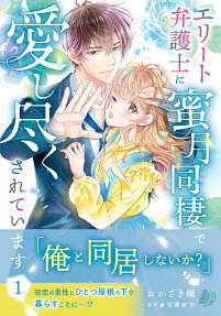 エリート弁護士に蜜月同棲で愛し尽くされています