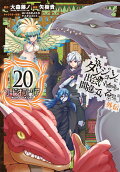 Vol. 20