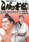 Vol. 3