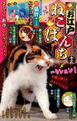 Vol. 13