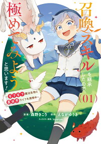 召喚スキルを継承したので、極めてみようと思います!