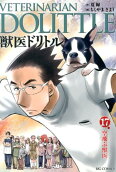 17권