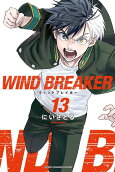 Vol. 13