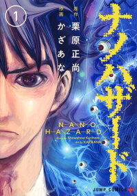 Nano Hazard