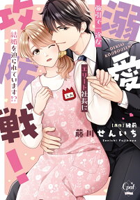 溺愛攻防戦!強引で一途なエリート社長に結婚を迫られています!?