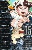 Vol. 15