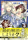Vol. 3