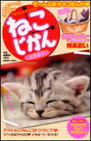 ねこじかん