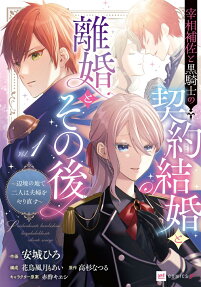 宰相補佐と黒騎士の契約結婚と離婚とその後