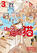 Vol. 3