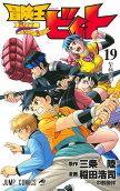 Vol. 19