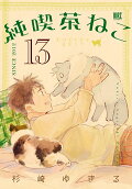 Vol. 13