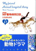 17권