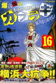 Vol. 16