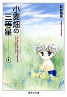 小麦畑の三等星