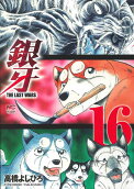 16권