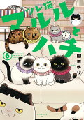 6권