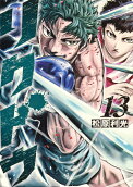 Vol. 13