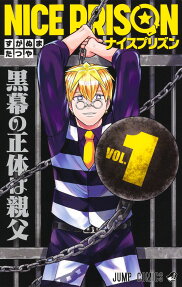Nice Prison