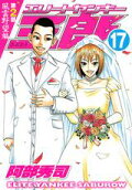 Vol. 17