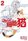 Vol. 2