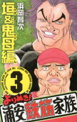 Vol. 3